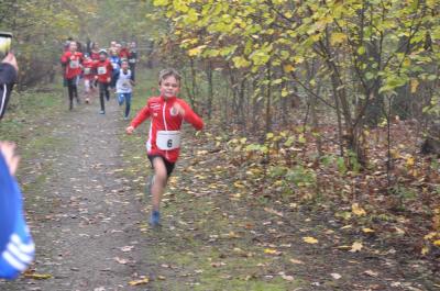 Foto des Albums: Torgelower Crosslauf
