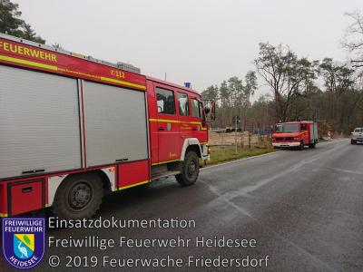 Vorschaubild: Einsatz 97/2019 | 1000m Dieselspur | L 40 OV Friedersdorf - Bindow
