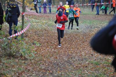 Foto des Albums: LM Cross Ludwigsfelde