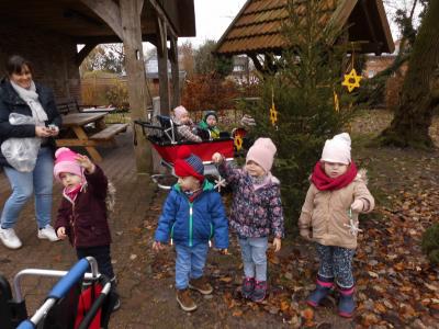 Foto des Albums: Weihnachtsbaum schmücken in der Sasslage