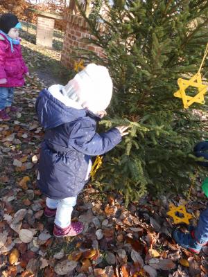 Foto des Albums: Weihnachtsbaum schmücken in der Sasslage