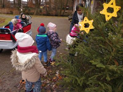 Foto des Albums: Weihnachtsbaum schmücken in der Sasslage