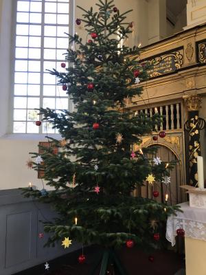 Fotoalbum Weihnachtsbaumaufstellung in der Kreuzkirche