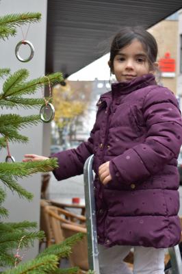 Foto des Albums: Tannenbaum schmücken