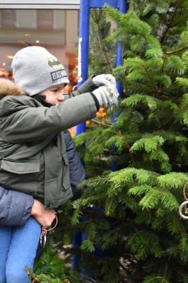 Foto des Albums: Tannenbaum schmücken