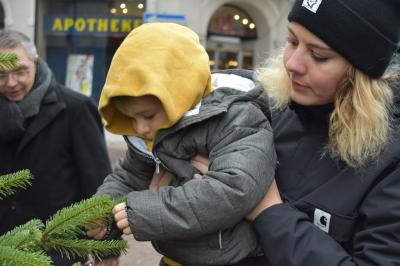Foto des Albums: Tannenbaum schmücken