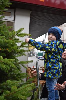 Foto des Albums: Tannenbaum schmücken