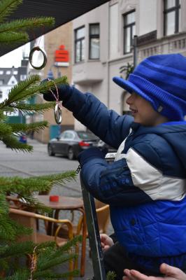 Foto des Albums: Tannenbaum schmücken