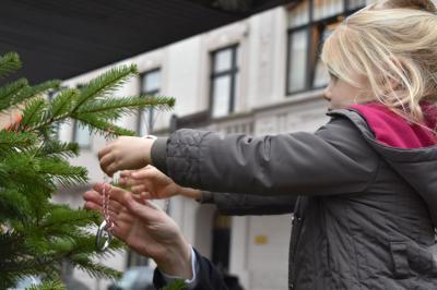 Foto des Albums: Tannenbaum schmücken