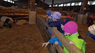 Foto des Albums: Exkursion in die Schäferei