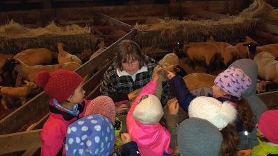 Wir streicheln ein Lamm. - Wer kann es entdecken? 