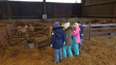 Foto des Albums: Exkursion in die Schäferei