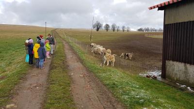Foto des Albums: Exkursion in die Schäferei