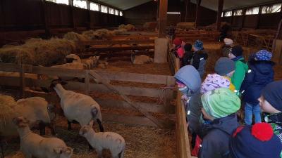 Foto des Albums: Exkursion in die Schäferei