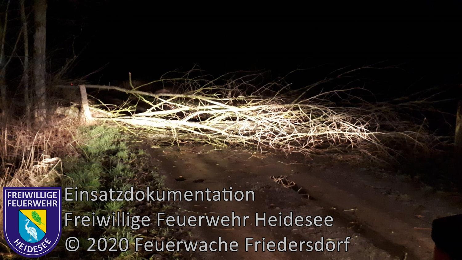 Bild: Einsatz 10/2020 | Baum auf Straße | Friedersdorf Weg nach Dannenreich | 10.02.2020