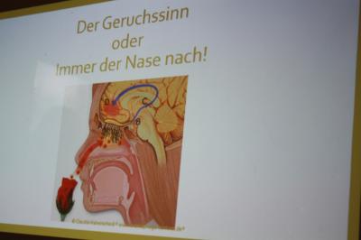 Foto des Albums: Aromapflege in der Onkologie / Krebserkrankung