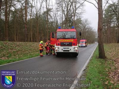 Vorschaubild: Einsatz 14/2020 | Baum droht auf Straße zu stürzen | L39 OV Friedersdorf - Blossin