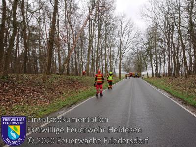 Vorschaubild: Einsatz 14/2020 | Baum droht auf Straße zu stürzen | L39 OV Friedersdorf - Blossin
