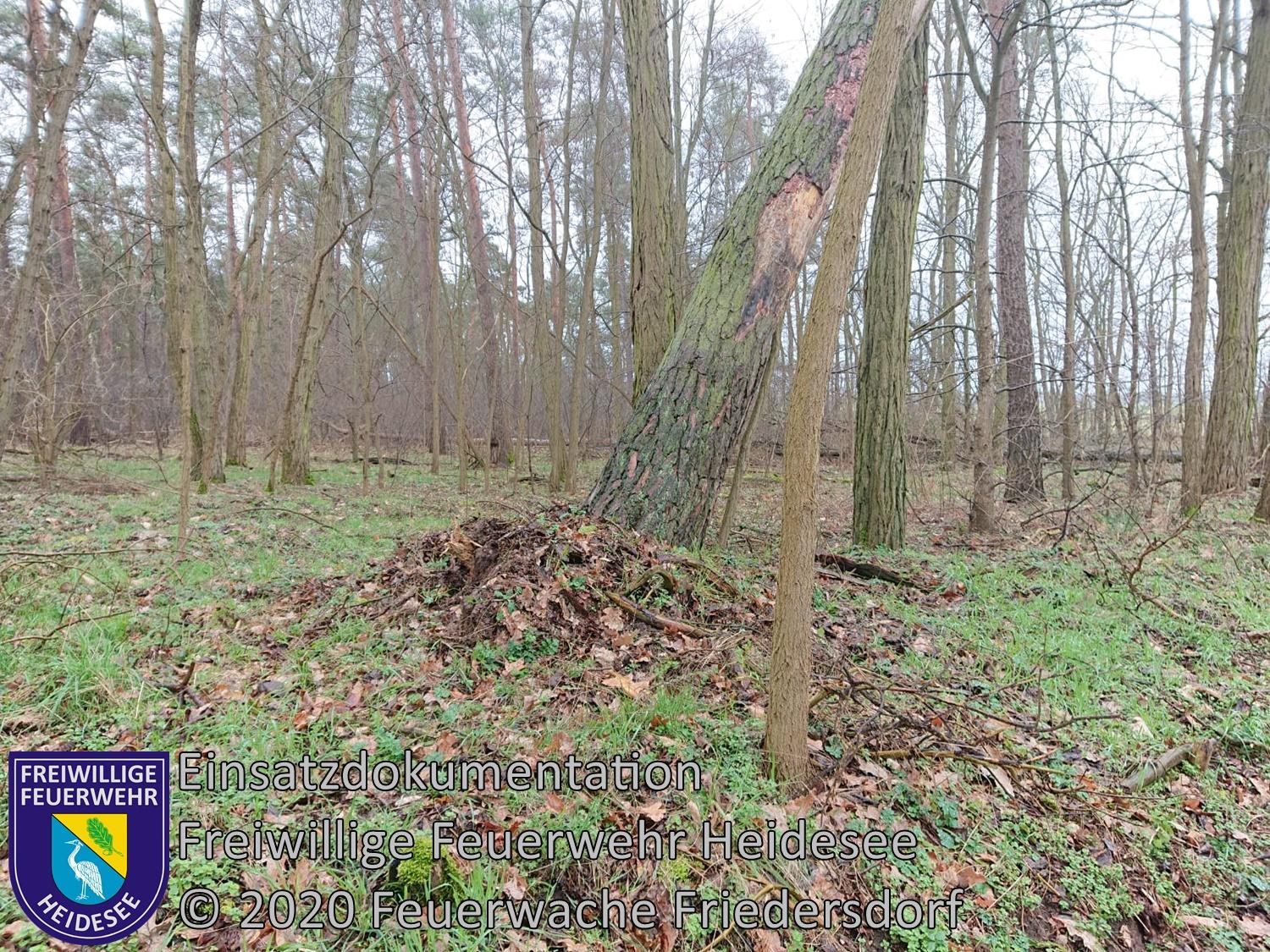 Bild: Einsatz 14/2020 | Baum droht auf Straße zu stürzen | L39 OV Friedersdorf - Blossin