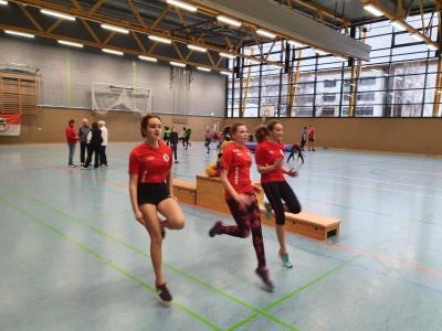 Foto des Albums: Hallenmeeting Zehdenick