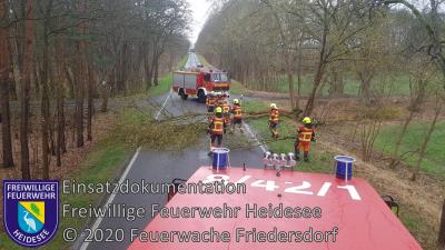 Vorschaubild: Einsatz 17/2020 | Baum über Straße | K6153 OV Dannenreich - Kablow