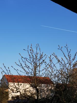 Foto des Albums: #perlebergfrommywindow (21. 04. 2020)