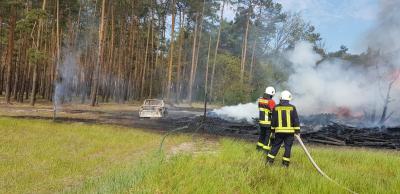 Foto des Albums: Brandeinsatz Golschow