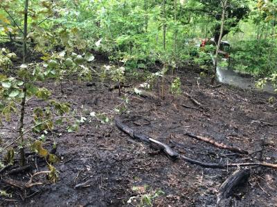 Foto des Albums: Waldbrandeinsatz Casel 02.06.2020