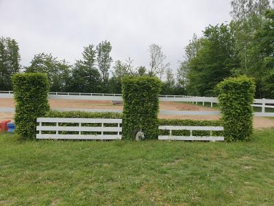 Foto des Albums: Reitanlage