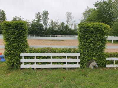 Foto des Albums: Reitanlage