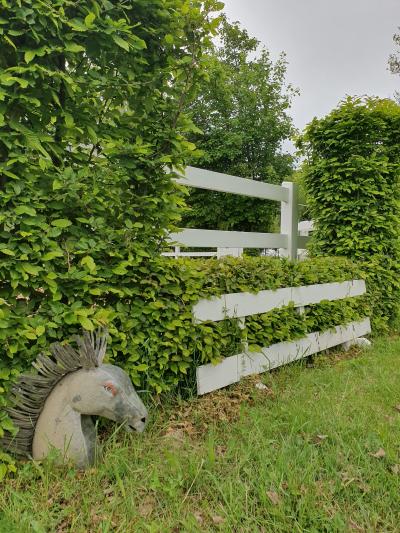 Foto des Albums: Reitanlage