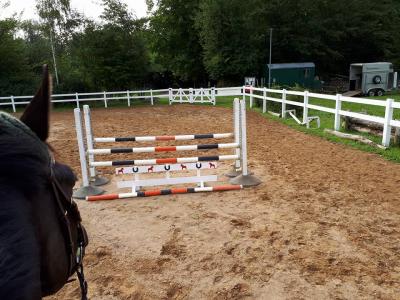 Foto des Albums: Reitanlage