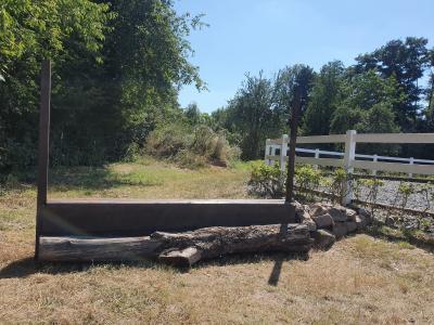 Foto des Albums: Reitanlage