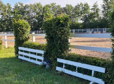 Foto des Albums: Reitanlage
