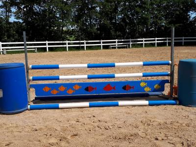 Foto des Albums: Reitanlage