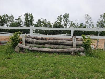 Foto des Albums: Reitanlage