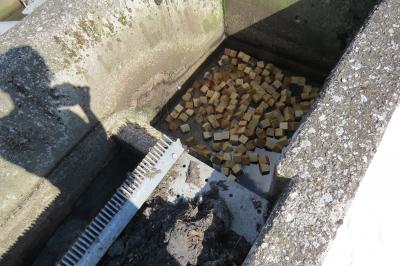 Foto des Albums: Umweltschaden