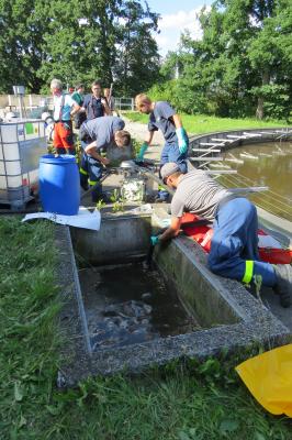 Foto des Albums: Umweltschaden