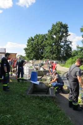 Foto des Albums: Umweltschaden