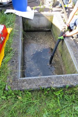 Foto des Albums: Umweltschaden