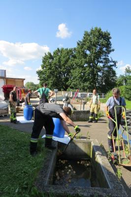 Foto des Albums: Umweltschaden