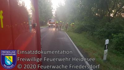 Vorschaubild: Einsatz 43/2020 | Baum auf Straße | L 39 OV Blossin - Kolberg