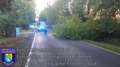 Vorschaubild: Einsatz 43/2020 | Baum auf Straße | L 39 OV Blossin - Kolberg