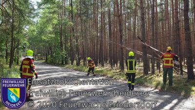 Vorschaubild: Einsatz 44/2020 | Baum in Telefonleitung | Friedersdorf Fürstenwalder Straße