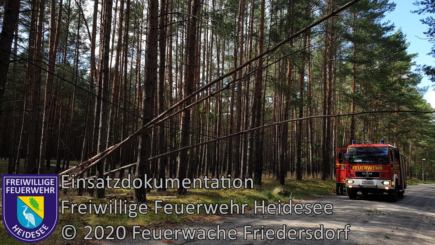 Bild: Einsatz 44/2020 | Baum in Telefonleitung | Friedersdorf Fürstenwalder Straße