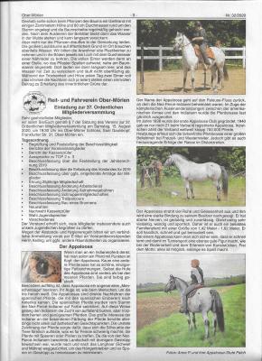 Rasseportrait Appaloosa 