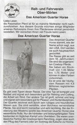 Rasseportrait American Quarter Horse 