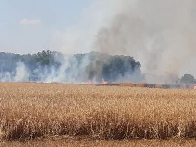 Foto des Albums: Einsatz vom 08.08.2020