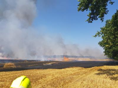 Foto des Albums: Einsatz vom 08.08.2020