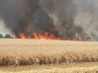 Foto des Albums: Einsatz vom 08.08.2020